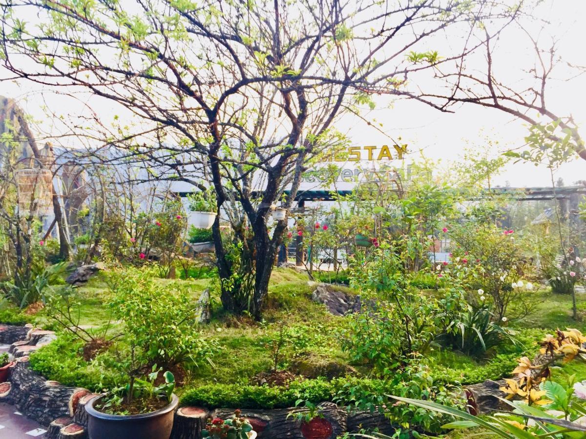 Homestay Discovery Sapa エクステリア 写真